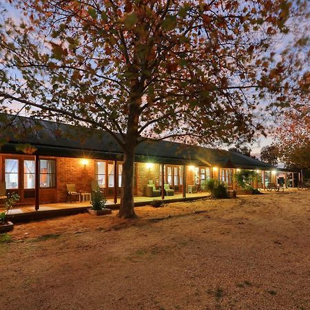 The Vineyard Motel Cowra Luaran gambar