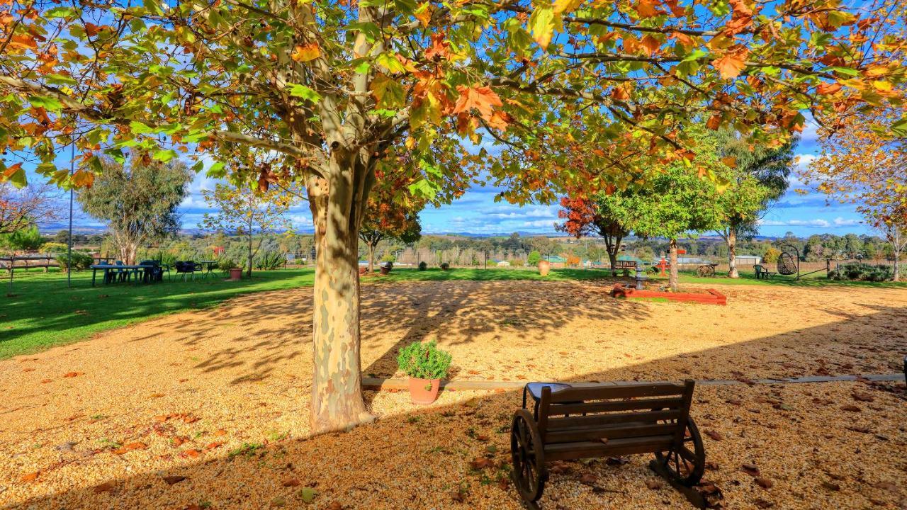 The Vineyard Motel Cowra Luaran gambar