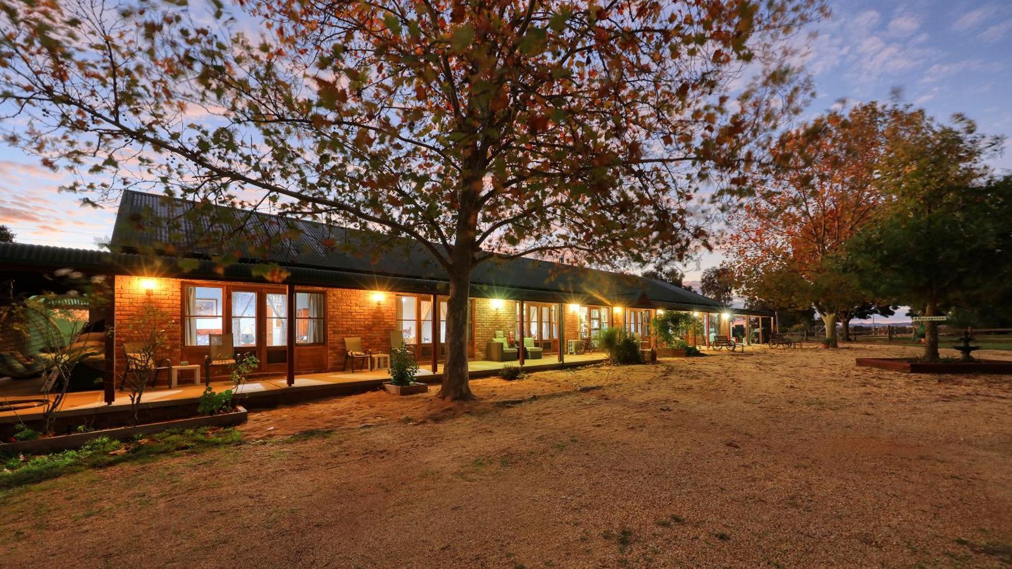The Vineyard Motel Cowra Luaran gambar