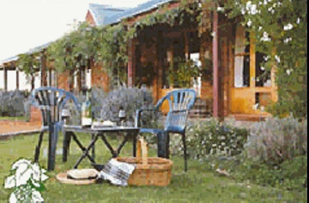 The Vineyard Motel Cowra Luaran gambar